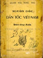 Nguồn gốc dân tộc Việt Nam  Đào Duy Anh
