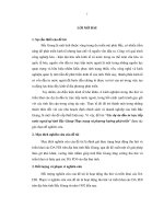 Các dự án đầu tư trực tiếp nước ngoài tại Tỉnh Bắc Giang - Thực trạng và phương hướng phát triển