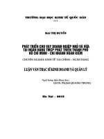 Phát triển cho vay doanh nghiệp nhỏ và vừa tại ngân hàng TMCP Phát triển Thành phố Hồ Chí Minh – Chi nhánh Hoàn Kiếm