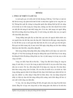 Nghiên cứu giải pháp xây dựng hệ thống đê biển nam bộ