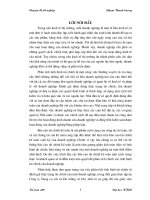 Phân tích tình hình tài chính thông qua hệ thống tài chính kế toán và các biện pháp nâng cao hiệu quả sử dụng vốn kinh doanh tại công ty dụng cụ cắt và đo lường cơ khí 