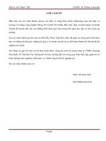 Các giải pháp hoàn thiện hoạt động quản trị tiền lương của công ty tnhh thương mại quốc tế tân đại tây dương 