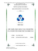 chủ nghĩa thực dụng Việt Nam