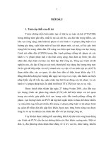 LUẬN văn THẠC sĩ LUẬT   THỰC TRẠNG và GIẢI PHÁP NÂNG CAO HIỆU QUẢ HOẠT ĐỘNG của lực LƯỢNG CẢNH sát PHẢN ỨNG NHANH   CA TP hà nội TRONG đấu TRANH PHÒNG CHỐNG tội PHẠM