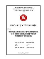 Quản trị đa văn hóa tại các tập đoàn đa quốc gia và bài học cho các doanh nghiệp việt nam trong thời kỳ toàn cầu hóa 