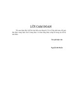 Luận văn thạc sĩ Áp dụng phương pháp không lưới trong phân tích kết cấu