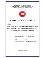 Giải pháp phát triển kênh phân phối bán bảo hiểm qua ngân hàng trong lĩnh vực bảo hiểm nhân thọ tại việt nam 