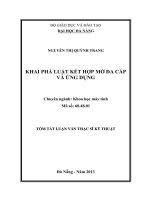 KHAI PHÁ LUẬT KẾT HỢP MỜ ĐA CẤP VÀ ỨNG DỤNG