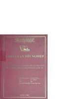 Xúc tiến thương mại quốc tế của việt nam trong bối cảnh hội nhập kinh tế quốc tế 