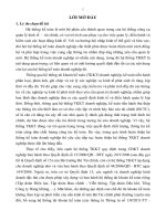 Nghiên cứu hệ thống tài khoản kế toán áp dụng trong các doanh nghiệp sản xuất - kinh doanh ở Việt Nam.PDF