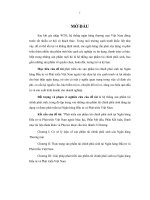 Phát triển sản phẩm tài chính phái sinh tại ngân hàng đầu tư và phát triển Việt nam