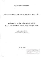 giải pháp thúc dẩy hoạt động đại lý bao hiểm nhân thọ ở việt nam 