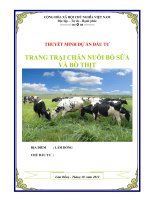Trang trại chăn nuôi bò sữa và bò thịt 