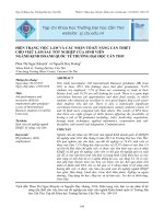 HIỆN TRẠNG VIỆC LÀM VÀ CÁC NHÂN TỐ KỸ NĂNG CẦN THIẾT CHO VIỆC LÀM SAU TỐT NGHIỆP CỦA SINH VIÊN NGÀNH KINH DOANH QUỐC TẾ TRƯỜNG ĐẠI HỌC CẦN THƠ