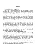 Quản lý thuế ở Việt Nam trong điều kiện hội nhập kinh tế quốc tế.PDF