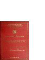 Giải pháp marketing cho các doanh nghiệp phân phối bán lẻ việt nam trong bối cảnh mở cửa thị trường bán lẻ 