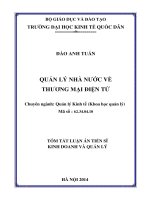 Quản lý nhà nước về thương mại điện tử.PDF