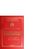 Thực trạng và giải pháp nâng cao năng lực cạnh tranh cho ngành vận tải hàng hoá xuất nhập khẩu của việt nam đáp ứng yêu cầu hội nhập kinh tế quốc tế 