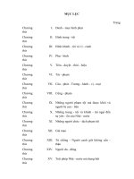 TÀI LIỆU THAM KHẢO LUẬT học   LUẬT HÌNH AN NAM THI HÀNH ở bắc kỳ