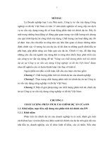 Nâng cao chất lượng phân tích tài chính dự án tại công ty tư vấn xây dựng công nghiệp và đô thị Việt nam