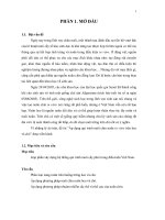 Khóa luận áp dụng qui trình nuôi chín noãn in vitro trên heo và chó 