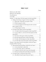 Hoàn thiện tổ chức kế toán nguyên vật liệu tại Công ty cổ phần Everpia Việt Nam