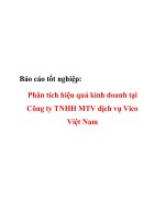 Phân tích hiệu quả kinh doanh tại công ty tnhh mtv dịch vụ vico việt nam 