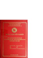 Chiến lược kinh doanh của oriflame tại thị trường việt nam  bài học kinh nghiệm cho các doanh nghiệp trong nước 