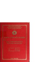 Quản lý nhập khẩu dịch vụ trong bối cảnh hội nhập 