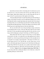 Quản lý rủi ro tín dụng tại ngân hàng thương mại cổ phần Bắc Á