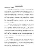 Quản trị rủi ro tại Công ty cho thuê tài chính - ngân hàng đầu tư và phát triển Việt Nam