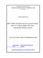 Phát triển tín dụng bán lẻ tại ngân hàng đầu tư và phát triển việt nam chi nhánh tỉnh bắc giang 