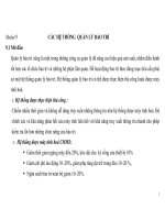 CÁC HỆ THỐNG QUẢN LÝ BẢO TRÌ