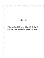 Trách nhiệm xã hội tại hệ thống siêu thị big c việt nam – bài học cho các siêu thị việt nam” 