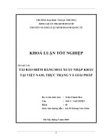 Tái bảo hiểm hàng hóa xuất nhập khẩu tại việt nam thực trạng và giải pháp 