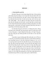 LUẬN văn THẠC sĩ KHOA HỌC TÔN GIÁO- VỀ CÁC HỘI ĐOÀN CÔNG GIÁO ở TỈNH THÁI BÌNH HIỆN NAY