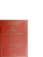 Dịch vụ phát triển kinh doanh ở việt nam  thực trạng và giải pháp 