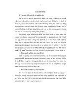 Phát triển dịch vụ quảng cáo của Đài truyền hình Việt nam