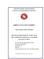 Thu hút du khách quốc tế đến tỉnh thừa thiên huế thông qua loại hình du lịch văn hóa 