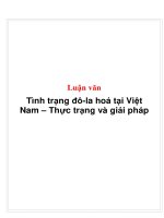 Tình trạng đô la hoá tại việt nam – thực trạng và giải pháp 