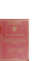 Một số giải pháp nâng cao năng lực cạnh tranh trong hoạt động xuất nhập khẩu của công ty 