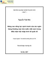 Nâng cao năng lực cạnh tranh của các ngân hàng Thương mại nhà nước Việt Nam trong điều kiện hội nhập kinh tế quốc tế