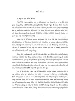 LUẬN văn THẠC sĩ LUẬT học   một số vấn đề lý LUẬN và THỰC TIỄN về dân CHỦ ở xã