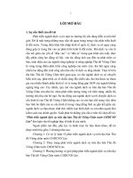 Phát triển ngành dịch vụ trên địa bàn thủ đô Viêng Chăn nước cộng hoà dân chủ nhân dân Lào