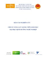 CHUẨN NĂNG LỰC GIẢNG VIÊN GIÁO DỤC ĐẠI HỌC ĐỊNH HƯỚNG NGHỀ NGHIỆP