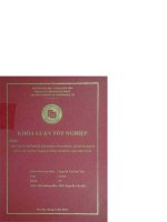 Xây dựng mô hình tập đoàn tài chính   kinh nghiệm của các nước và khả năng áp dụng tại việt nam 