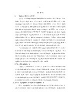 Hoàn thiện tổ chức hạch toán kế toán tại các doanh nghiệp sản xuất bê tông thương phẩm trên địa bàn Hà Nội