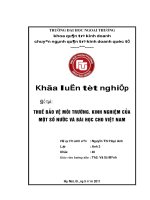 Thuế bảo vệ môi trường, kinh nghiệm của một số nước và bài học cho việt nam 