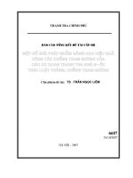 Một số giải pháp nhằm nâng cao hiệu quả công tác chống tham nhũng của các cơ quan thanh tra nhà nước theo luật phòng, chống tham nhũng