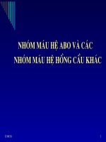 nhóm máu hệ ABO và các nhóm máu khác